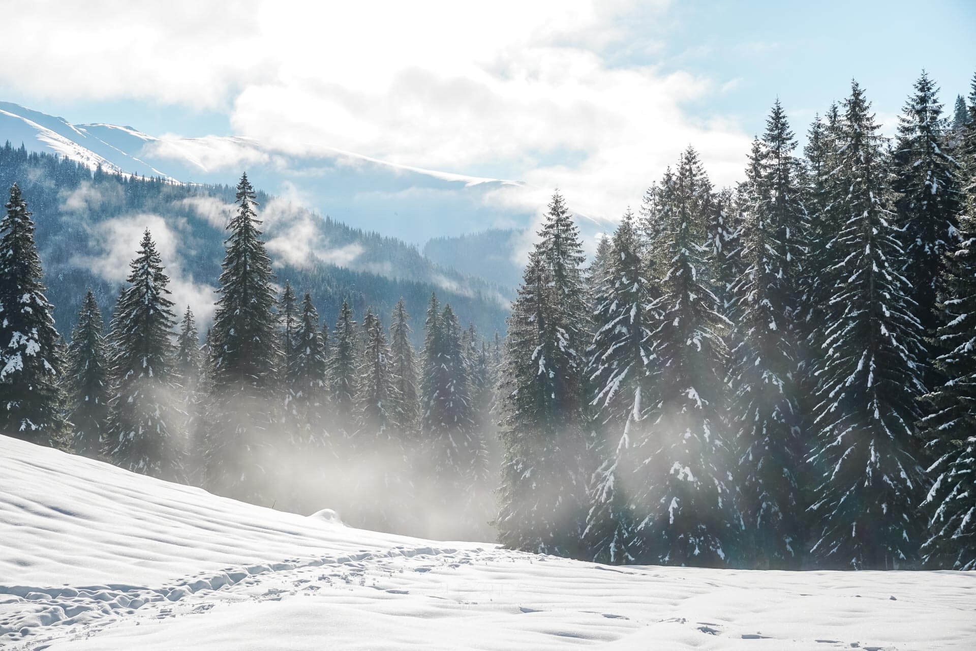 Traseu ușor și scurt de drumeție de iarnă în Munții Făgăraș: de la Piscu Negru pe Valea Paltinu. Marcaj punct albastru / triunghi albastru