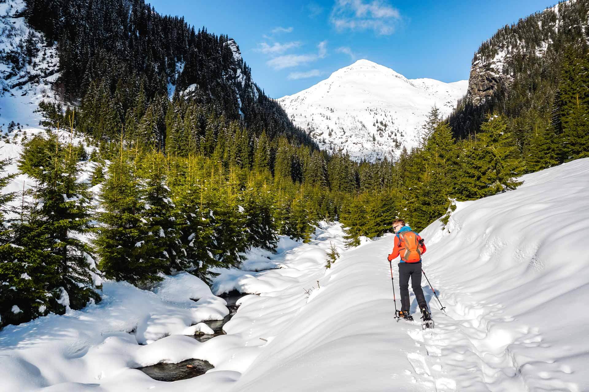 Traseu ușor și scurt de drumeție de iarnă în Munții Făgăraș: de la Piscu Negru pe Valea Paltinu. Marcaj punct albastru / triunghi albastru
